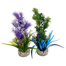 Sydeco dekor Aquaplant Color Medium