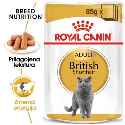 Royal Canin British Shorthair Adult - omaka