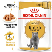 Royal Canin British Shorthair Adult - omaka