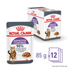 Royal Canin Adult Appetite Control - omaka 12 x 85 g