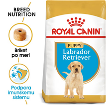 Royal Canin Labrador Puppy