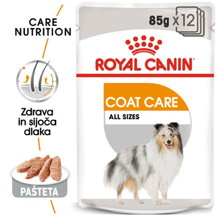 Royal Canin Adult Coat Care - pašteta