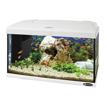 Hydor akvarijski set Capri 60 LED, bel - 60 L / 60 x 31,5 x 39,5 cm