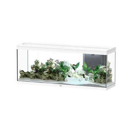 Aquatlantis akvarij Splendid 150 LED 2.0 Biobox, bel - 364 L / 149 x 39,9 x 60,9 cm