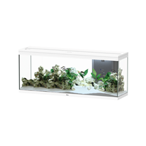 Aquatlantis akvarij Splendid 150 LED 2.0 Biobox, bel - 364 L / 149 x 39,9 x 60,9 cm