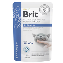 Brit GGF veterinarska dieta za mačke Recovery, vrečka - losos - 85 g