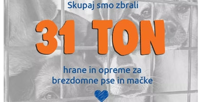 Velika dobrodelna akcija na dan živali »Donirajmo skupaj!« 2024