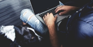 6 nasvetov za učinkovito delo od doma z ljubljenčkom