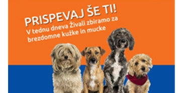 1000 € hrane za Animal Angels