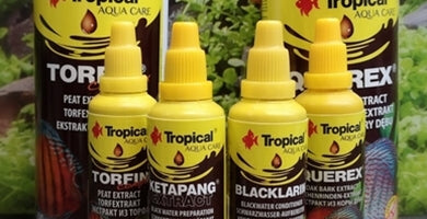 Zakaj 'pobarvati' vodo v akvariju?