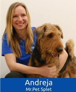 Nasvet: Mačje igračke z matatabijem