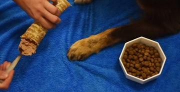 DIY žvečilka: Sapnik z nadevom