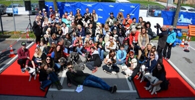 Mali repki - dan mladičkov, 7.4.