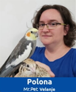 Nasvet: 4Pet stelja iz konoplje