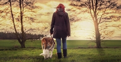 Hoja ob nogi ali ukaz poleg