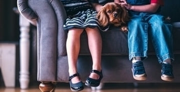 Mami, oči, želim si kužka!