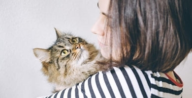 Ali me ima moja mačka rada?