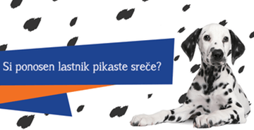 Išče se 101 dalmatinec!