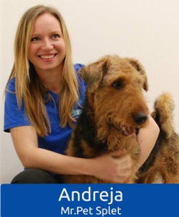 Nasvet: Kong Zoom Groom