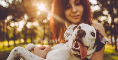 Prvi dnevi posvojenčka v novem domu