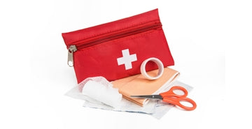 Domači paket za pasjo prvo pomoč