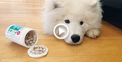 Kakšne prehranske dodatke potrebuje mladiček? - video nasvet