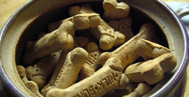 Pasji priboljški in poslastice