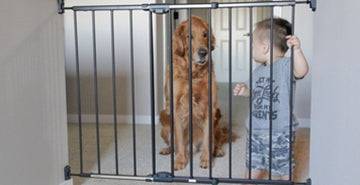 Hišna pregrada za psa