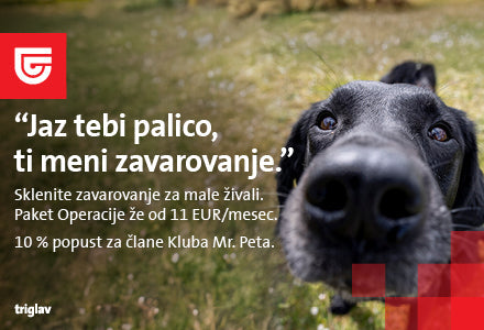 Bi lahko kadarkoli poravnali več tisoč evrov za operacijo psa?