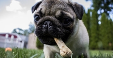 Vitaminski in mineralni dodatki k prehrani