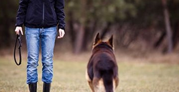 Učenje poteka celo življenje