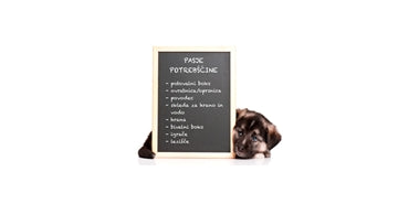 Kako se pripraviti na prihod novega psička