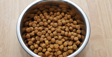 Osnove prehrane psov