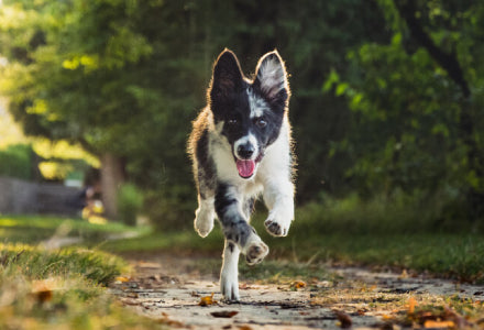 Odpoklic: Najpomembnejši ukaz