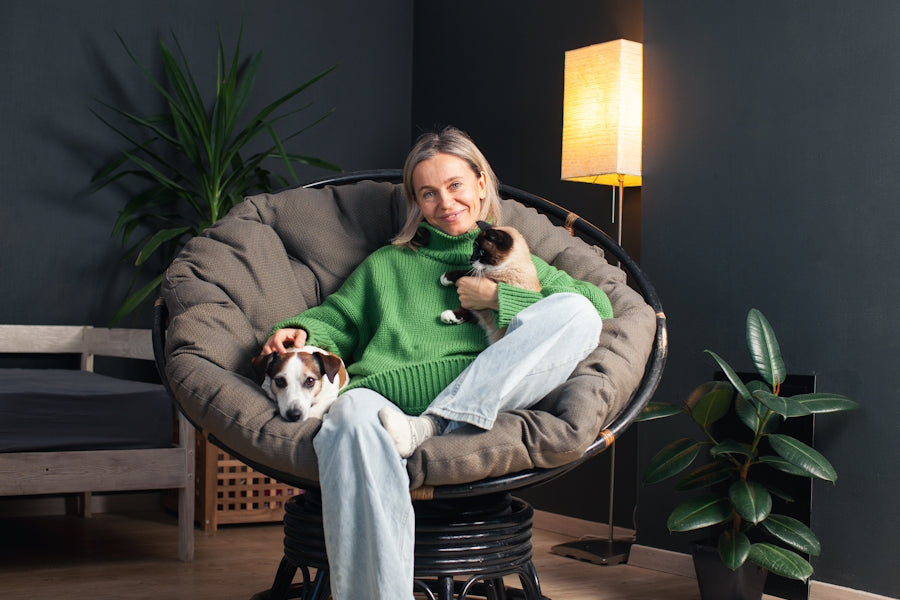 Zaščita pred zajedavci: ključ do varnega sobivanja s hišnimi ljubljenčki