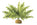 Decoration