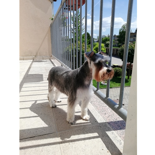 Mr.Pet spletna trgovina