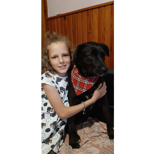 Mr.Pet spletna trgovina
