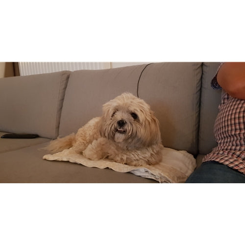 Mr.Pet spletna trgovina