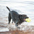 KONG igrača Air Squeaker Football S (3)