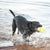 KONG Air Dog igrača football - medium (2)