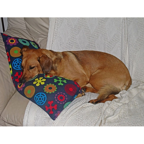 Mr.Pet spletna trgovina