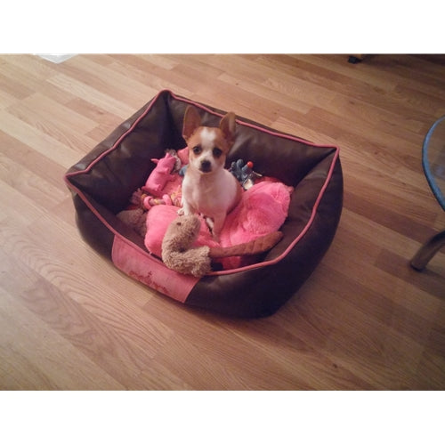 Mr.Pet spletna trgovina
