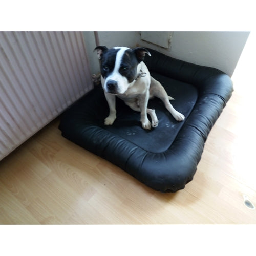 Mr.Pet spletna trgovina
