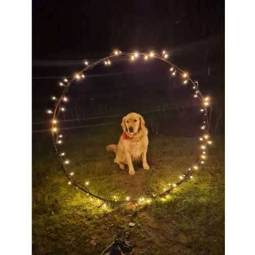 Mr.Pet spletna trgovina