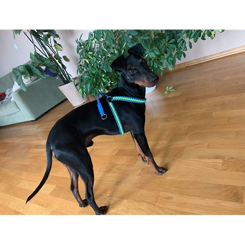 Mr.Pet spletna trgovina
