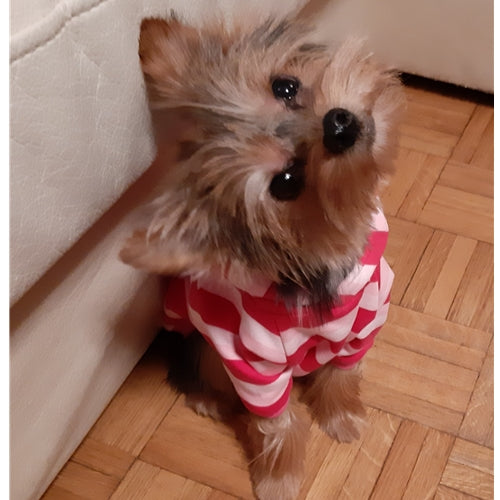 Mr.Pet spletna trgovina