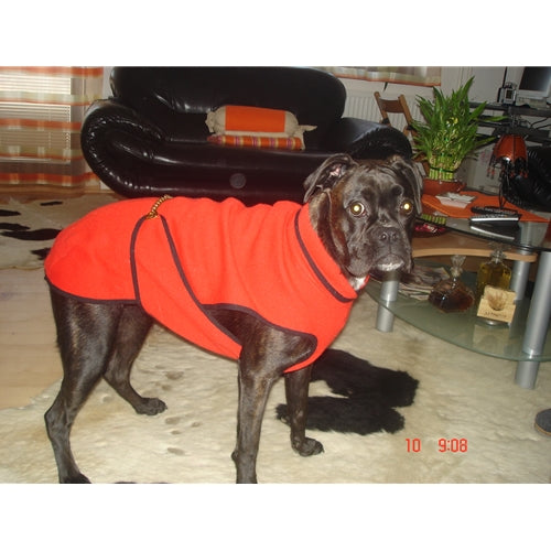 Mr.Pet spletna trgovina