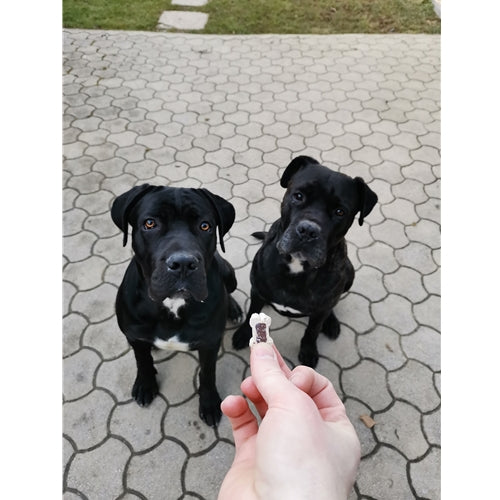 Mr.Pet spletna trgovina