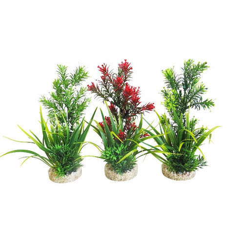 Sydeco dekor Aquaplant Medium